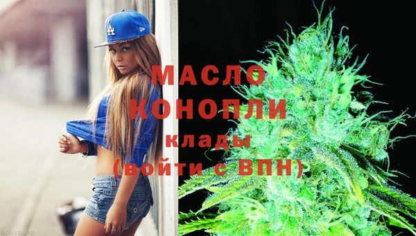 сатива Карпинск