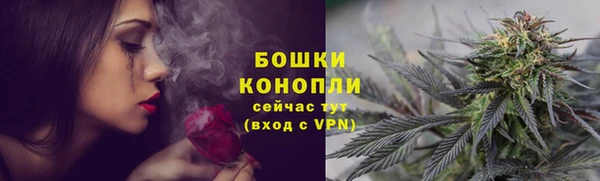 сатива Арсеньев