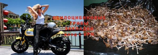 гашиш Аркадак