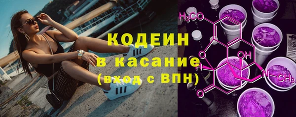 сатива Арсеньев