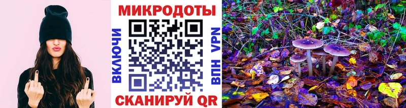 Псилоцибиновые грибы мицелий  darknet Telegram  Нижний Тагил  закладка 