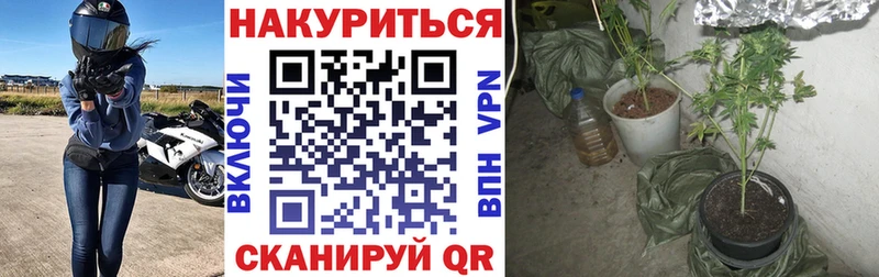 Бошки марихуана SATIVA & INDICA  ссылка на мегу как войти  Нижний Тагил  купить  цена 